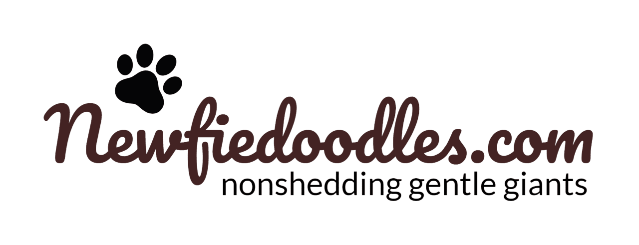 Newfiedoodles.com Logo